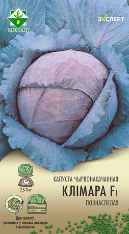 Капуста к/к Климаро F1 12шт (Эксперт)