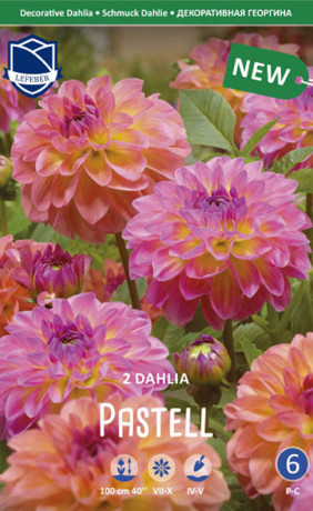 Георгина Pastell (Combi packs) (Lefeber)
