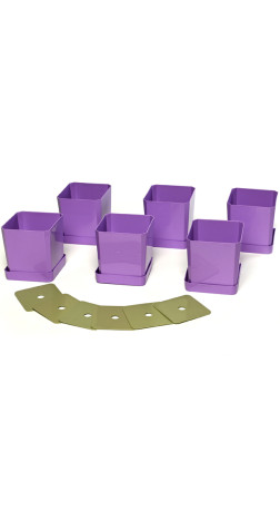 Набор горшков для рассады 6х0,5л арт.0338 фиолетовый