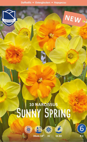 Нарциссы Sunny Spring (серия Perfect partners) (Lefeber)
