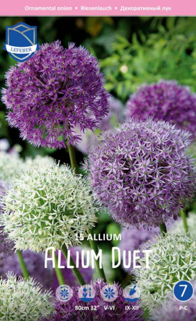 Аллиум Allium Duet (серия Perfect partners) (Lefeber)