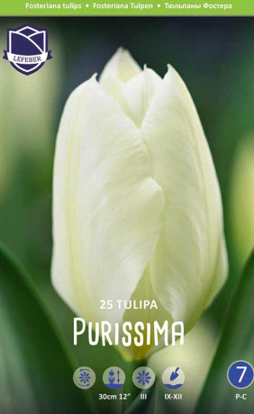 Тюльпаны Purissima (Economy packs) (Lefeber)