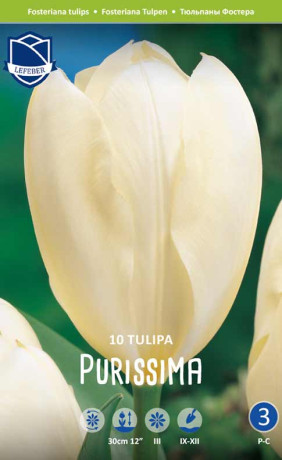 Тюльпаны Purissima (Lefeber)