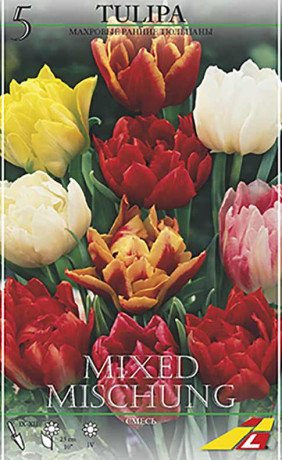 Тюльпаны Double Early Mixed (Budget packs) (Lefeber)
