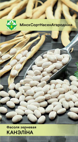 Фасоль Каннеллино (зерновая) 15шт