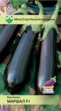 Баклажан Маршал F1 10шт