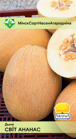Дыня Свит ананас 10шт
