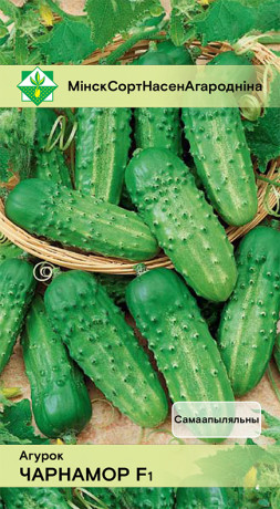 Огурец Черномор F1 7шт