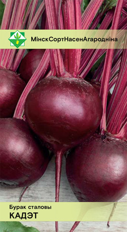 Свекла Кадет столовая 2г
