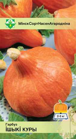 Тыква Ишики Кури 5шт