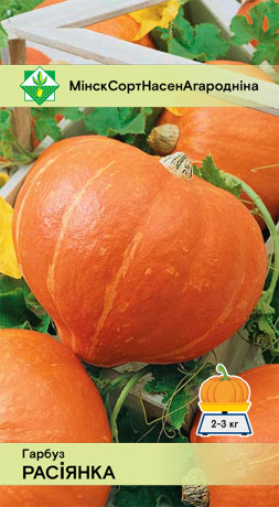 Тыква Россиянка 10шт