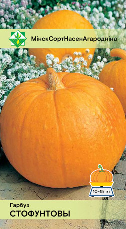 Тыква Стофунтовая 10шт