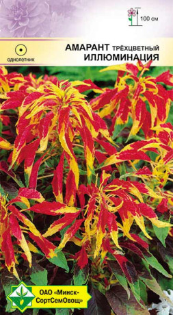 Амарант трехцветный Иллюминация 0.1г