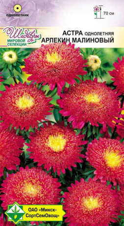 Астра Арлекин Малиновый 0.2г