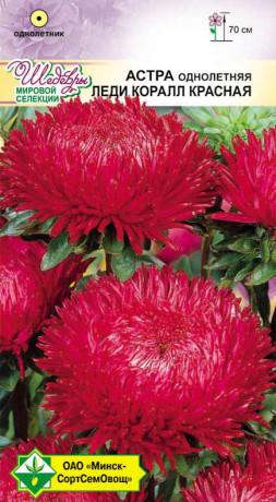 Астра Леди Коралл Красная 0.1г