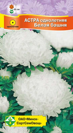 Астра Пионовидная Белая башня 0.3г