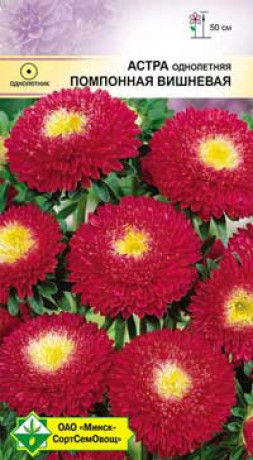 Астра Помпонная Вишневая 0.3г
