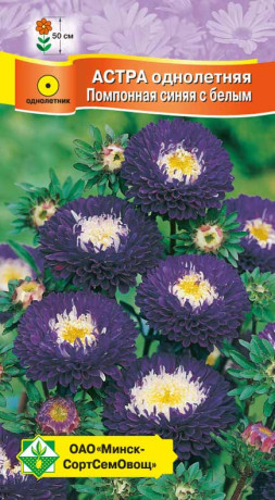 Астра Помпонная Синяя с белым 0.3г