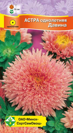 Астра Принцесса Давина 0.3г