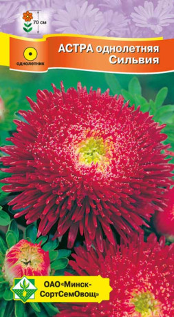 Астра Принцесса Сильвия 0.3г