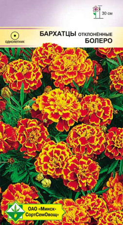 Бархатцы откл Болеро 0.5г