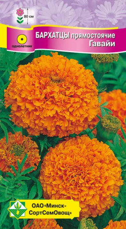 Бархатцы прям Гавайи 0.5г
