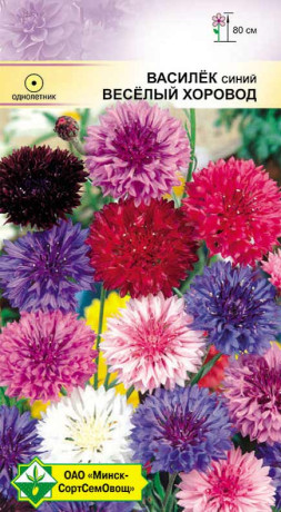 Василек синий Веселый хоровод см 1г