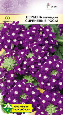 Вербена гибридная Сиреневые росы 0.1г