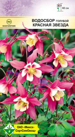 Водосбор голубой Красная звезда 0.1г