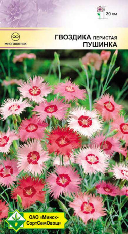 Гвоздика перистая Пушинка см 0.15г