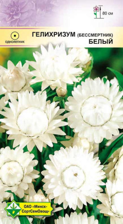 Гелихризум прицветниковый Белый 0.2г
