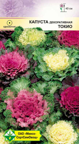 Капуста декоративная Токио см 0.2г