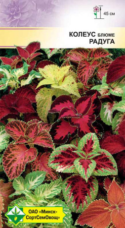 Колеус Блюме Радуга 0.1г