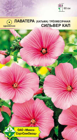 Лаватера трехмесячная Сильвер Кап 0.5г