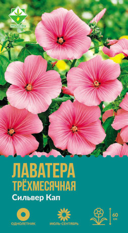 Лаватера трехмесячная Сильвер Кап 0.5г