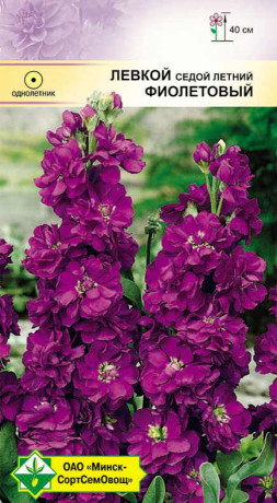 Левкой седой Фиолетовый 0.15г