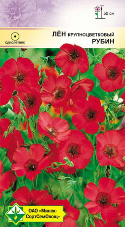 Лен крупноцветковый Рубин 0.5г