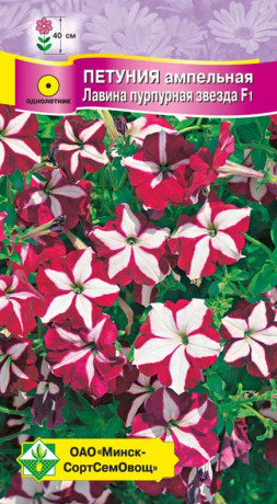 Петуния гибридная ампельная Лавина пурпурная звезда F1 7шт