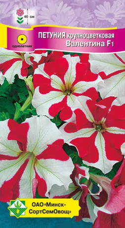 Петуния гибридная крупноцветковая Валентина F1 10шт