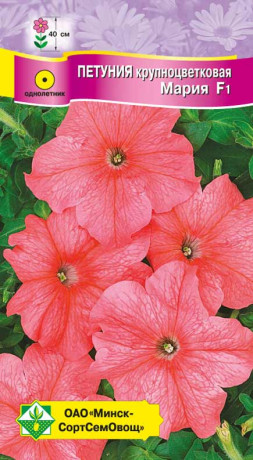 Петуния гибридная крупноцветковая Мария F1 10шт
