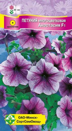Петуния гибридная многоцветковая Анастасия F1 10шт