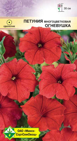 Петуния гибридная многоцветковая Огневушка 200шт