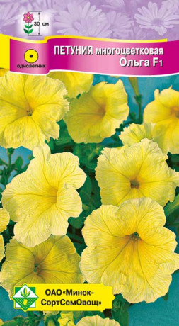 Петуния гибридная многоцветковая Ольга F1 10шт