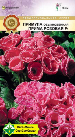 Примула обыкновенная Прима розовая F1 5шт
