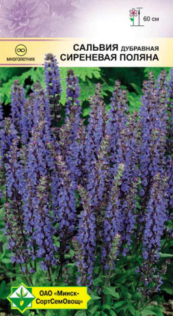 Сальвия дубравная Сиреневая поляна 0.05г