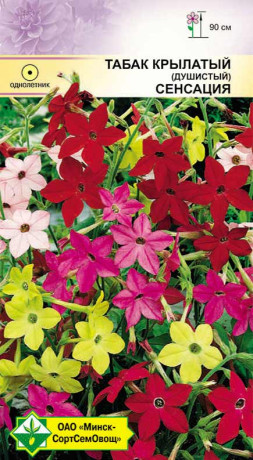 Табак крылатый Сенсация см 0.15г