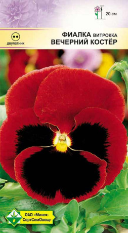 Фиалка Витрокка Вечерний костер 0.1г