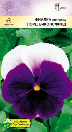 Фиалка Витрокка Лорд Биконсфилд 0.1г