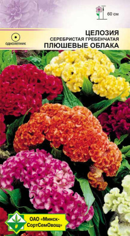 Целозия гребенчатая Плюшевые облака см 0.2г