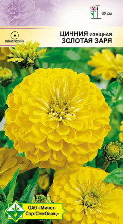 Цинния изящная Георгиноцветная Золотая заря 0.5г